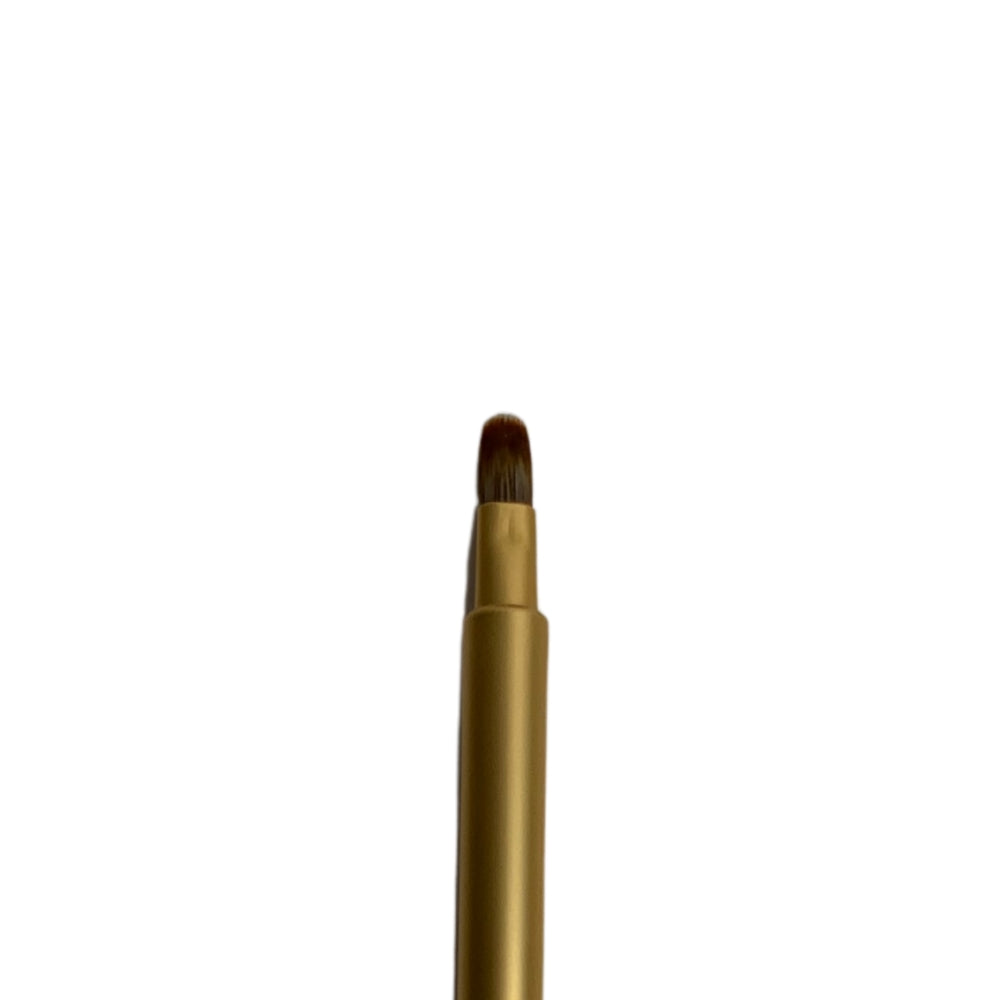Retractable Lip Brush